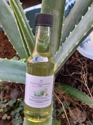 a_vera_massage_oil